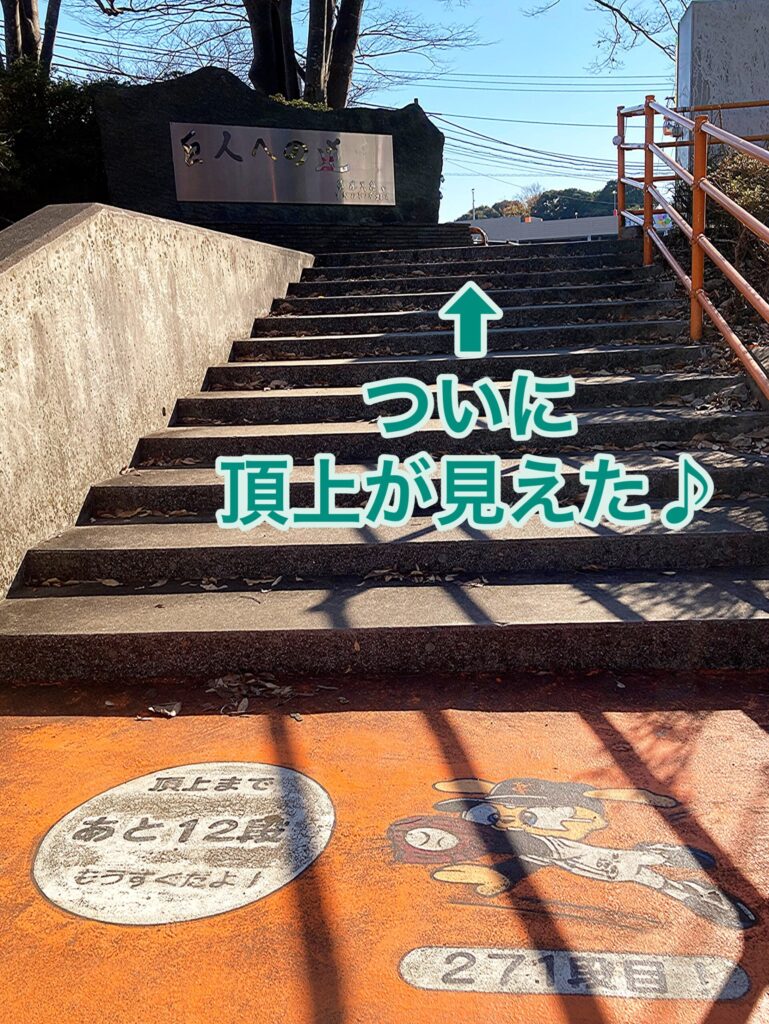 【駅からよみうりランドまで】⑫画像