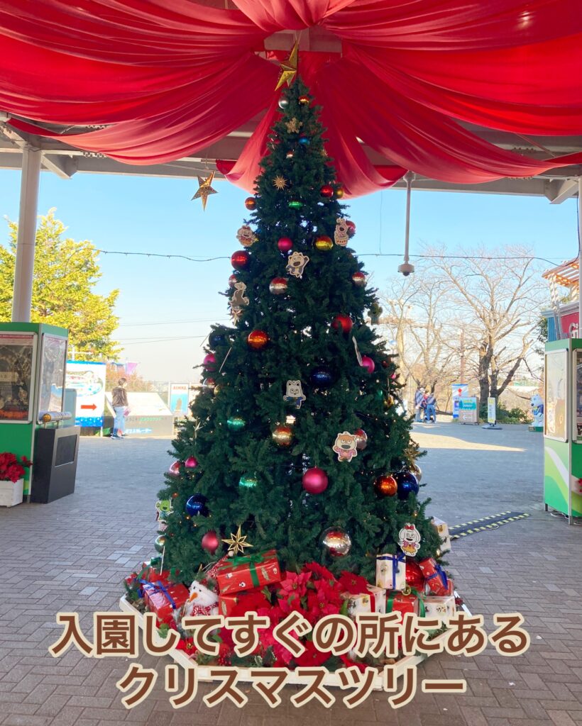 【よみうりランド】スカイゲート入り口クリスマスツリーの画像