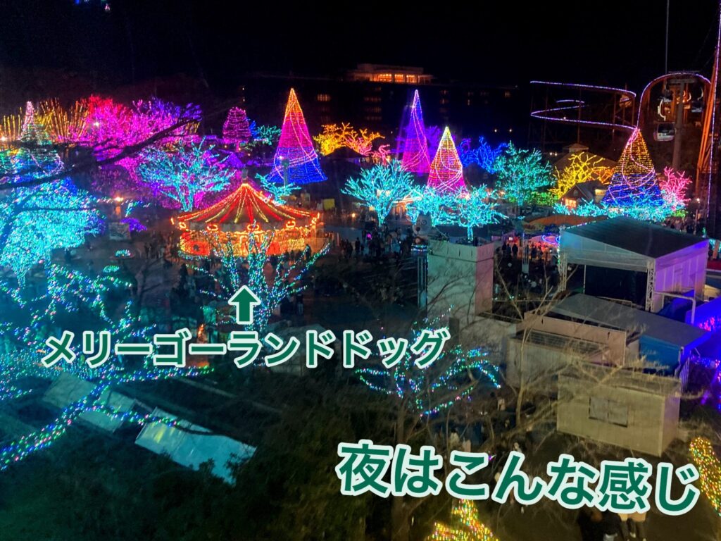 【よみうりランド】入場後夜間の画像